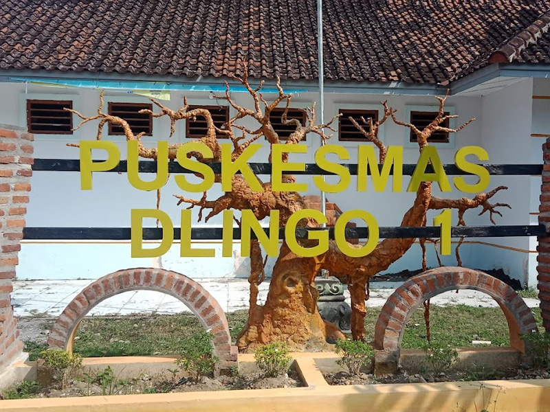 Puskesmas Dlingo 1
