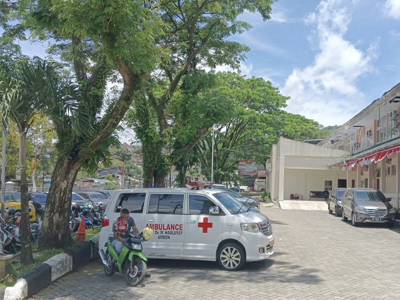 Rumah Sakit Umum Daerah Dr. M. Haulussy